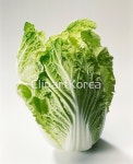 pc003629497 / JPG - 멤버십 해외작가포토