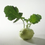pc003629564 / JPG - 멤버십 해외작가포토