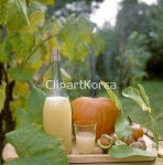 pc003634536 / JPG - 멤버십 해외작가포토