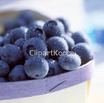 pc003636046 / JPG - 멤버십 해외작가포토
