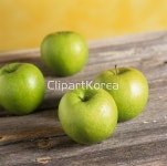 pc003647668 / JPG - 멤버십 해외작가포토