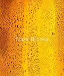 pc003651226 / JPG - 멤버십 해외작가포토