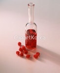 해외작가포토 - 클립아트코리아 :: 통로이미지(주) 1,__적합한콘텐츠,과일,누끼,다수,베리,병,사람없음,산딸기,수제,식초,음식,음식재료,해외포토... 