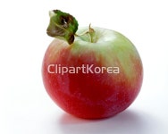 pc003671181 / JPG - 멤버십 해외작가포토