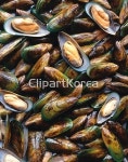 pc003792002 / JPG - 멤버십 해외작가포토