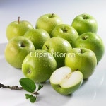 pc003807619 / JPG - 멤버십 해외작가포토