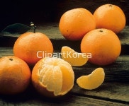 pc003808572 / JPG - 멤버십 해외작가포토