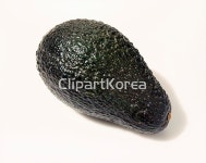 해외작가포토 - 클립아트코리아 :: 통로이미지(주) 1,__적합한콘텐츠,사람없음,신선,아보카도,음식,음식재료,채소,해외포토,해외프리미엄콜렉션