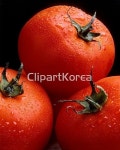pc003815823 / JPG - 멤버십 해외작가포토