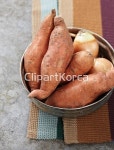 pc003848046 / JPG - 멤버십 해외작가포토