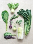 pc0030940361 | 멤버십 해외 포토