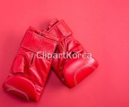 해외작가포토 - 클립아트코리아 :: 통로이미지(주) __적합한콘텐츠,가죽,권투,백그라운드,복싱,빨간색,사람없음,스포츠,쌍,장갑,체육관... 
