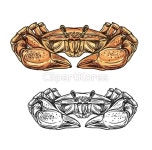 클립아트코리아 - 통로이미지