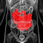pc004017274 / JPG - 멤버십 해외작가포토
