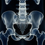 클립아트코리아 - 통로이미지