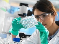 pc004113674 / JPG - 멤버십 해외작가포토