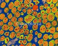 pc004148720 / JPG - 멤버십 해외작가포토