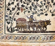 pc004158170 | 멤버십 해외 포토