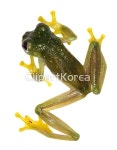 pc004173048 | 멤버십 해외 포토