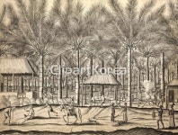 해외작가포토 - 클립아트코리아 :: 통로이미지(주) __적합한콘텐츠,농장,모노,산업,스리랑카,실론,야자수,일러스트,작업,작품,탐사,해외포토... 