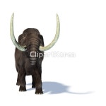 pc004208526 / JPG - 멤버십 해외작가포토