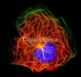 pc004215876 / JPG - 멤버십 해외작가포토