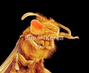 pc004243162 / JPG - 멤버십 해외작가포토