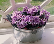 pc004259048 / JPG - 멤버십 해외작가포토