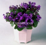 클립아트코리아 - 통로이미지