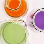 pc004298739 | 멤버십 해외 포토