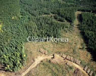 pc004387876 / JPG - 멤버십 해외작가포토