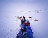 pc004395871 / JPG - 멤버십 해외작가포토