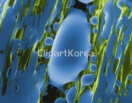 pc004397342 / JPG - 멤버십 해외작가포토