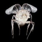 클립아트코리아 - 통로이미지