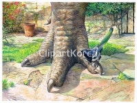 pc004425117 / JPG - 멤버십 해외작가포토