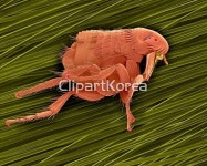 pc004453348 / JPG - 멤버십 해외작가포토