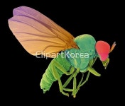 pc004453639 / JPG - 멤버십 해외작가포토