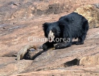 pc004468666 | 멤버십 해외 포토