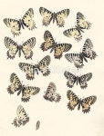 pc004470568 / JPG - 멤버십 해외작가포토