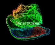 pc004487040 / JPG - 멤버십 해외작가포토