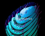 pc004489751 / JPG - 멤버십 해외작가포토