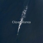 pc004513826 / JPG - 멤버십 해외작가포토