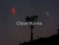 pc004517940 / JPG - 멤버십 해외작가포토