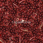 해외작가포토 - 클립아트코리아 :: 통로이미지(주) CG,__적합한콘텐츠,과일,광고,누끼,디저트,라벨,빨간색,석류,수확,식당,신선,엠블럼,요리,요리사... 