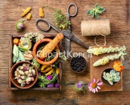 yaytg1433257 / JPG - 멤버십 해외작가포토