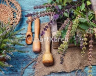 묶음,민트,바질,스피어민트,식물,신선,아로마,약초,여름,요리,음식,음식재료,의약품,의학,잎,절구,채소,채식주의,초록색,페퍼민트,향기,향신료,허브