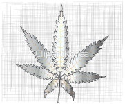 해외작가포토 - 클립아트코리아 :: 통로이미지(주) CG,__적합한콘텐츠,관절,금속,대마초,마약,사람없음,심벌,약초,연기,의학,일러스트,잎,잡초... 