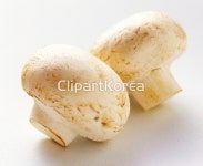pc0030971803 | 멤버십 해외 포토