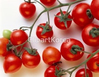 pc0030976760 | 멤버십 해외 포토