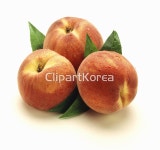 pc0030976861 / JPG - 멤버십 해외작가포토